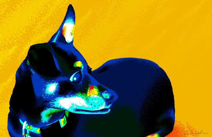 Colorful Sparky Portrait